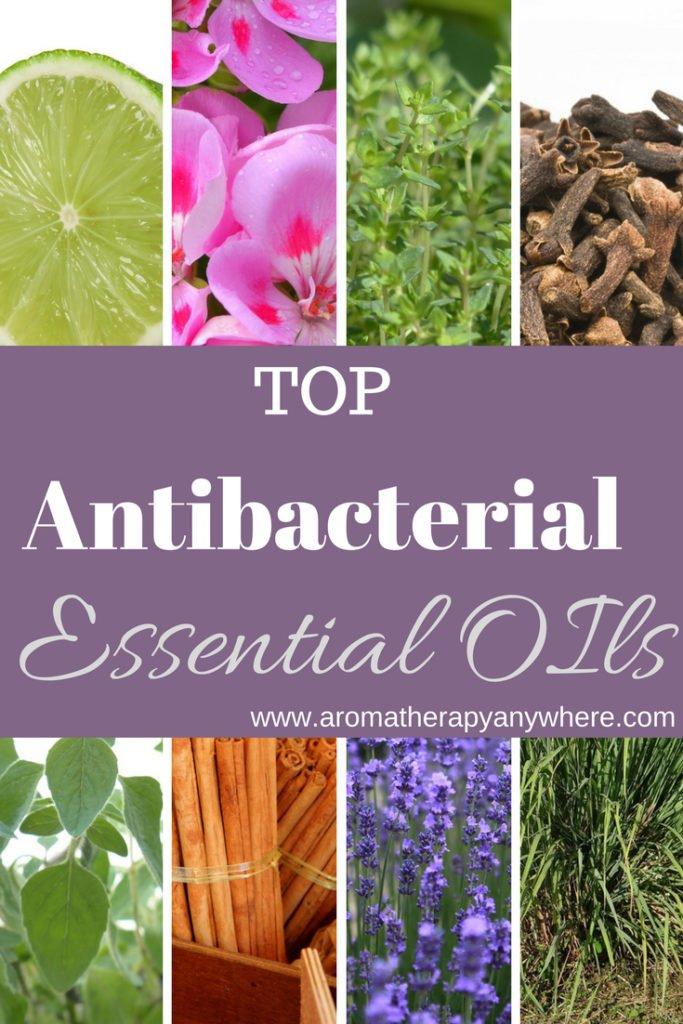 Top Antibacterial Essential Oils