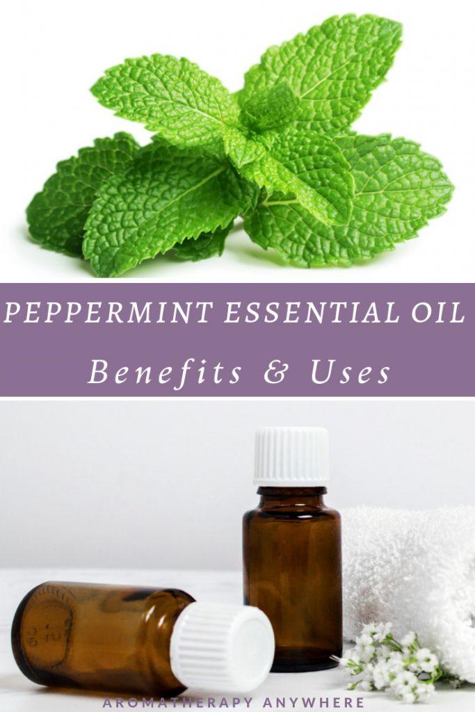 Peppermint leaves+essential oil bottles