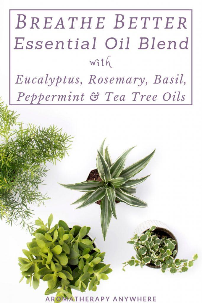 Breathe Better Essential Oil Blend with Eucalyptus, Rosemary, Basil, Peppermint & Tea Tree Oils