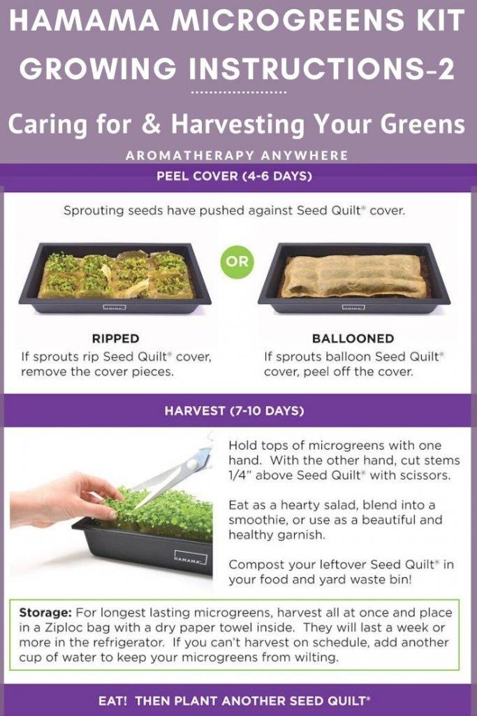 Microgreen grow kit