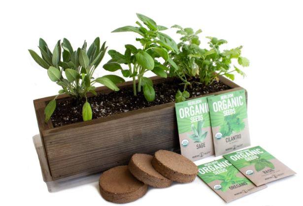 Indoor herb garden kit with planter and seed pods