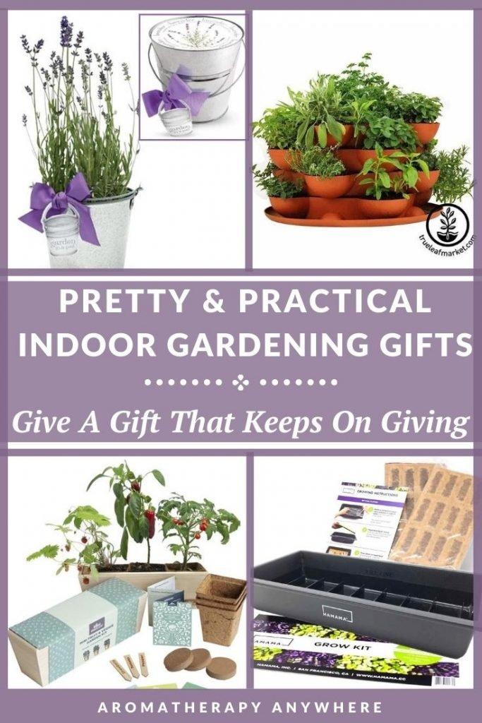 indoor gardening kits