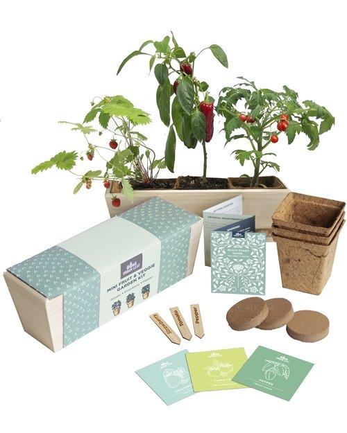 indoor garden kit