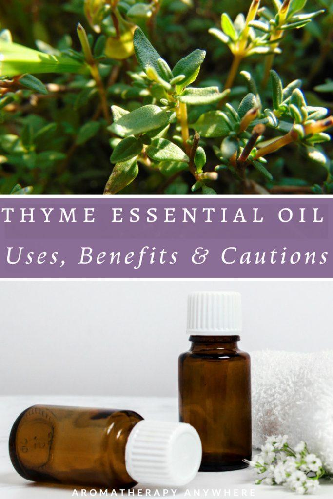 Thyme essential oil benefits, uses & cautions