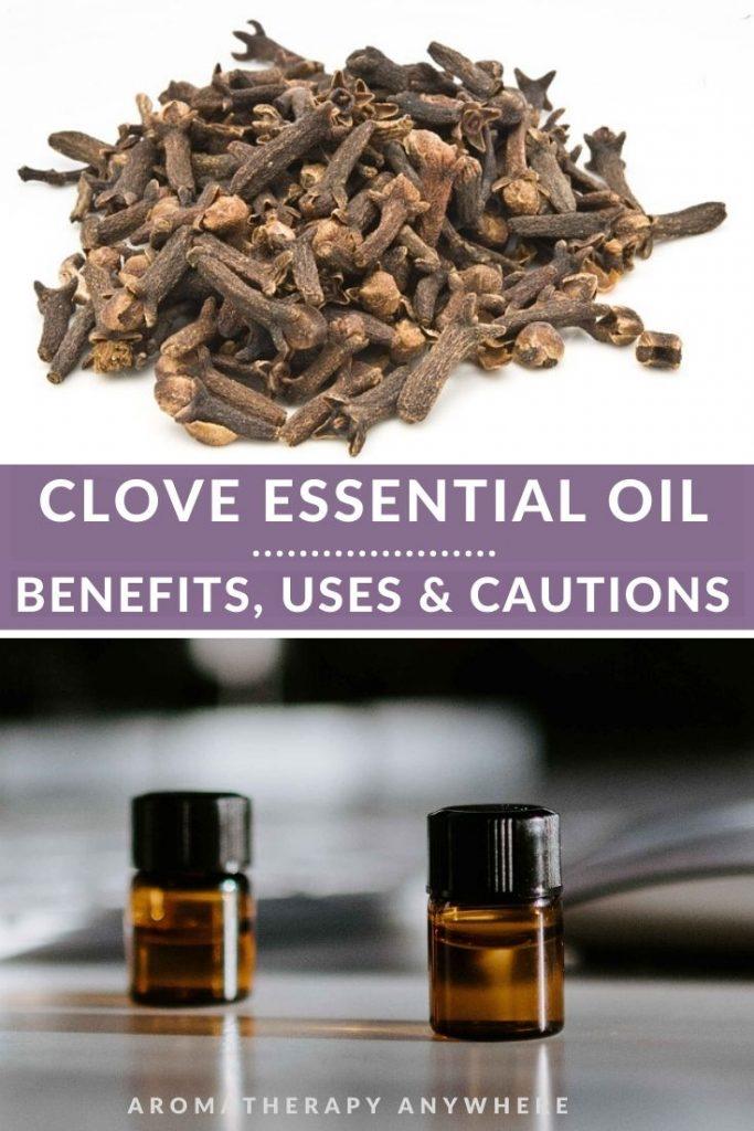 clove buds and 2 essential oil bottles