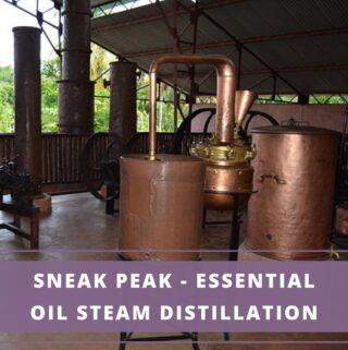 essential oil distillation plant