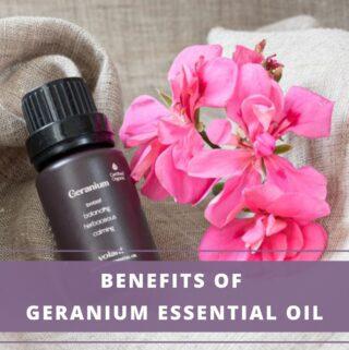 bottle of geranium essential oil with geranium flowers
