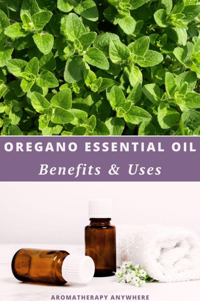 oregano leaves and 2 essential oil bottles