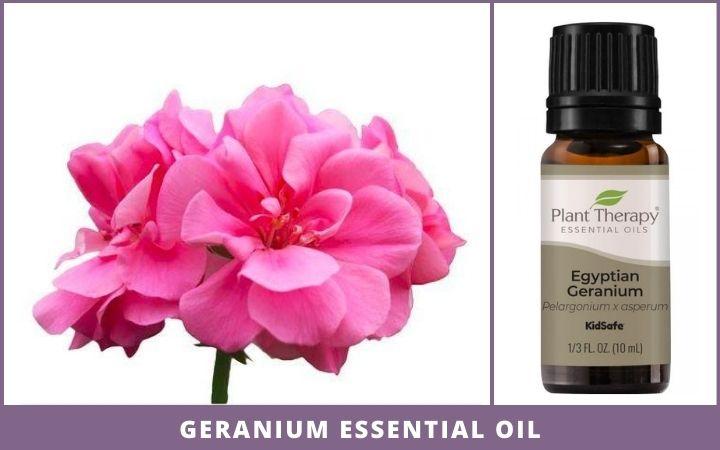 geranium flower + essential oil bottle