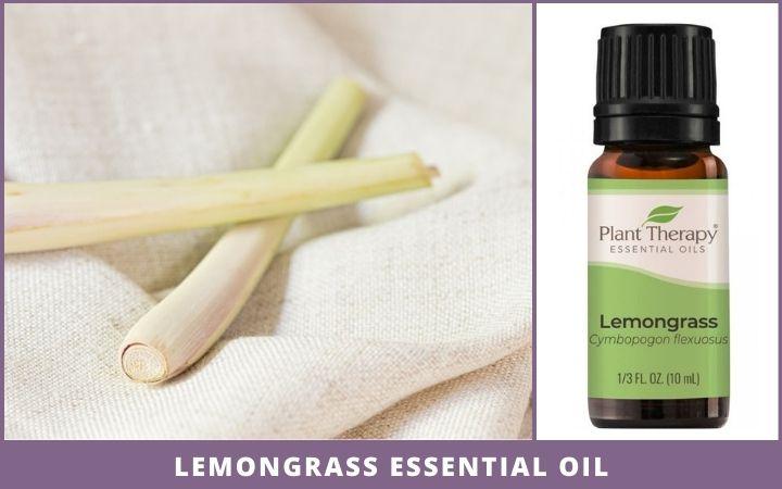 lemongrass stalks + essential oil bottle