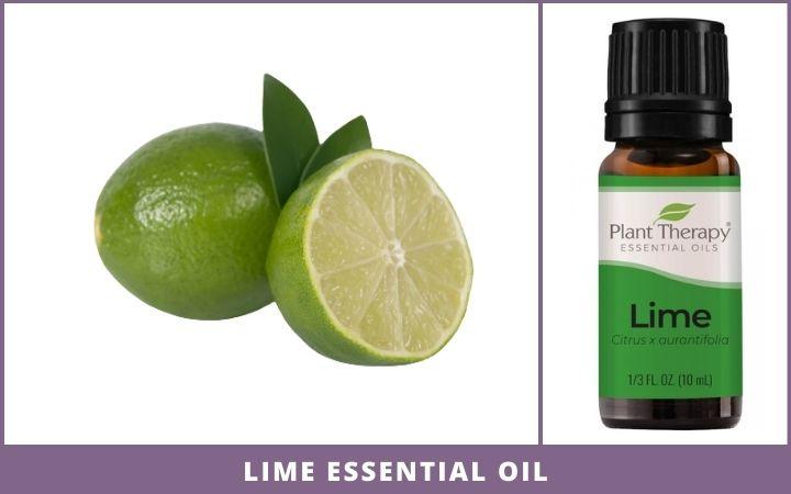 whole and sliced lime + essential oil bottle