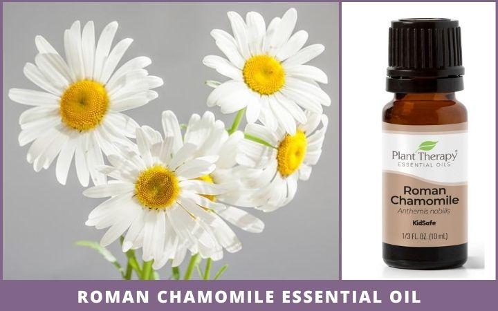 roman chamomile flowers + essential oil bottle