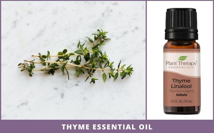 thyme sprig + essential oil bottle