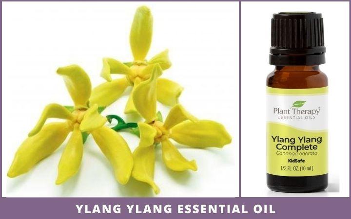 ylang ylang flowers + essential oil bottle