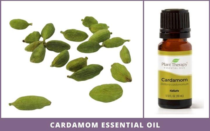 cardamom pods + essential oil bottle