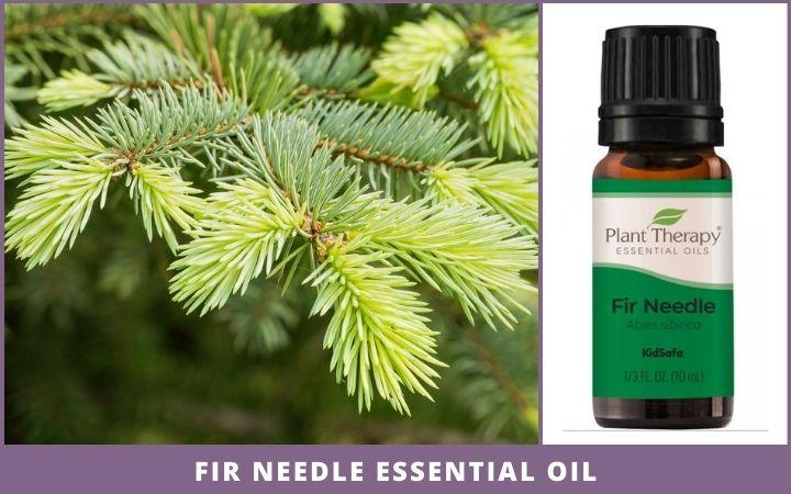 fir needle sprig + essential oil bottle
