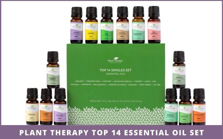 boxed set of essential oils from Plant Therapy