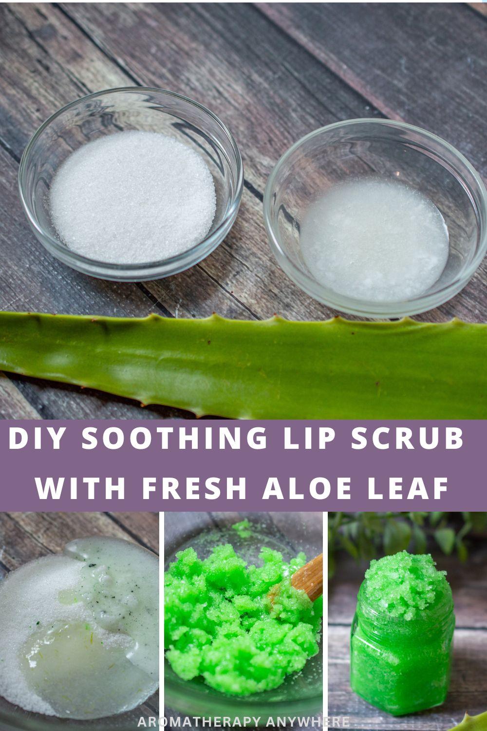 Refreshing PeppermintAloe Vera Lip Scrub Recipe Revive and Rejuvenate