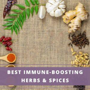assortment of best immune boosting herbs and spices