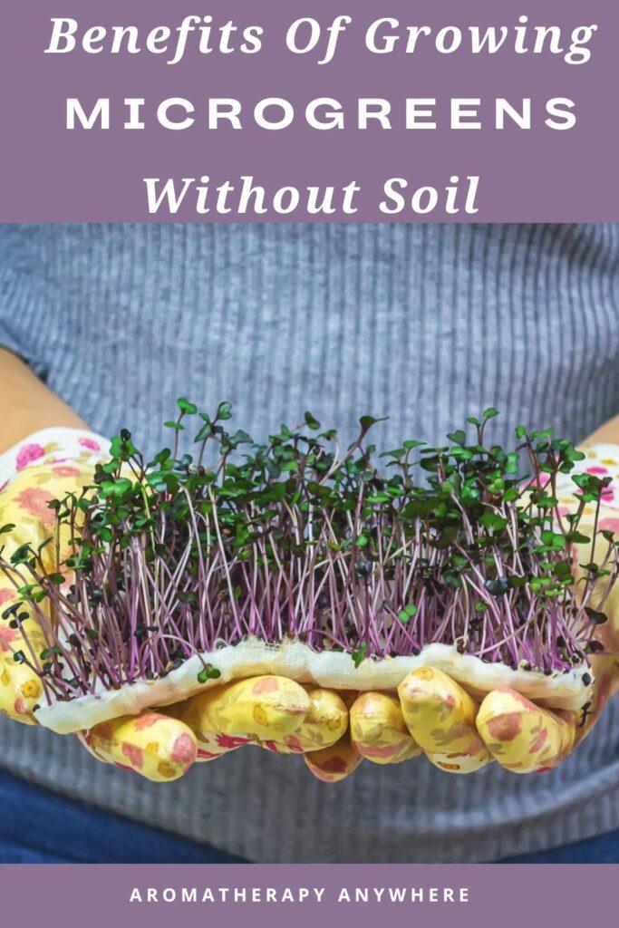 lady holding a mat of microgreens in both hands