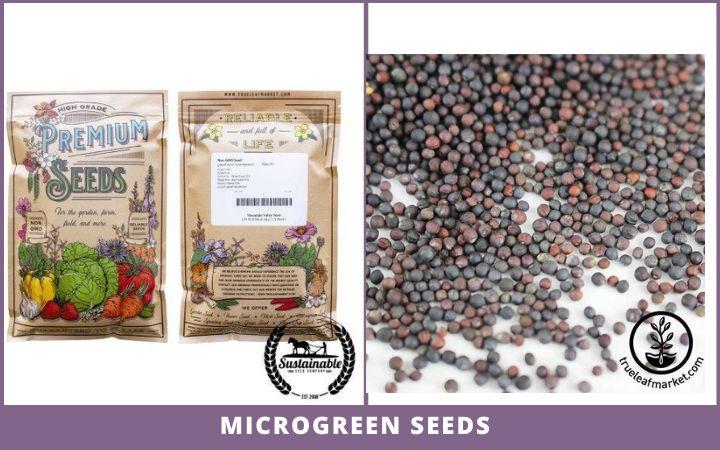 packet of microgreen seeds+ microgreen seeds