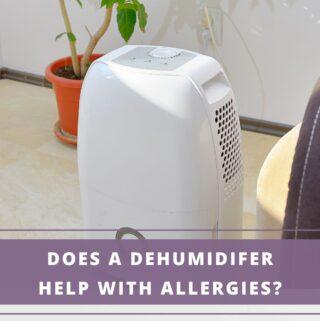 home dehumifier for allergies
