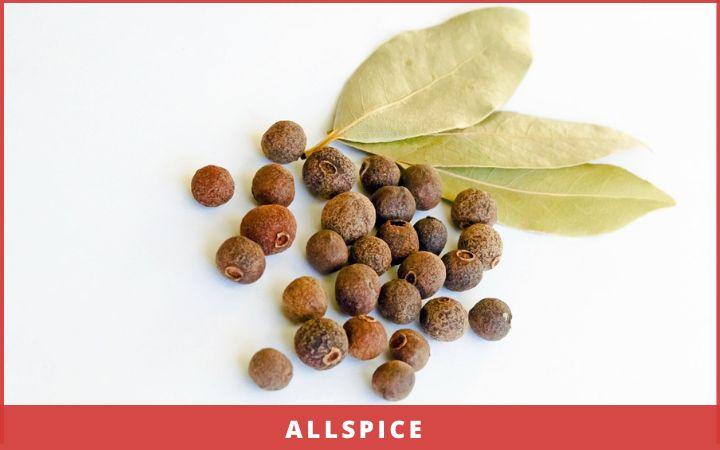 Christmas spices - allspice