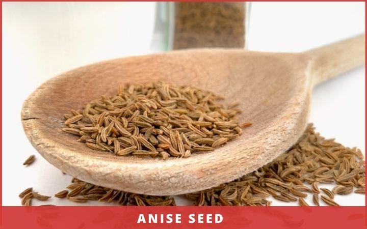 popular Christmas spices- anise seed