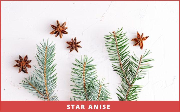 Christmas spices - star anise