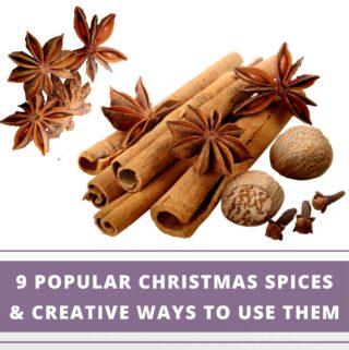 Christmas sices - tar anise, cinnamon sticks, cloves and nutmeg on a white background