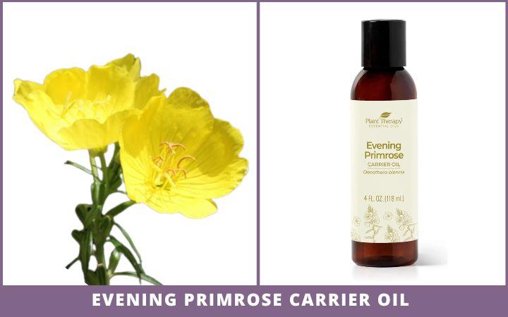 Evening primrose flowers and bottle of evening primrose carrier oil