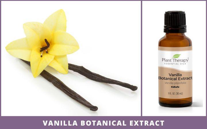 vanilla bean and bottle of vanilla botanical extract