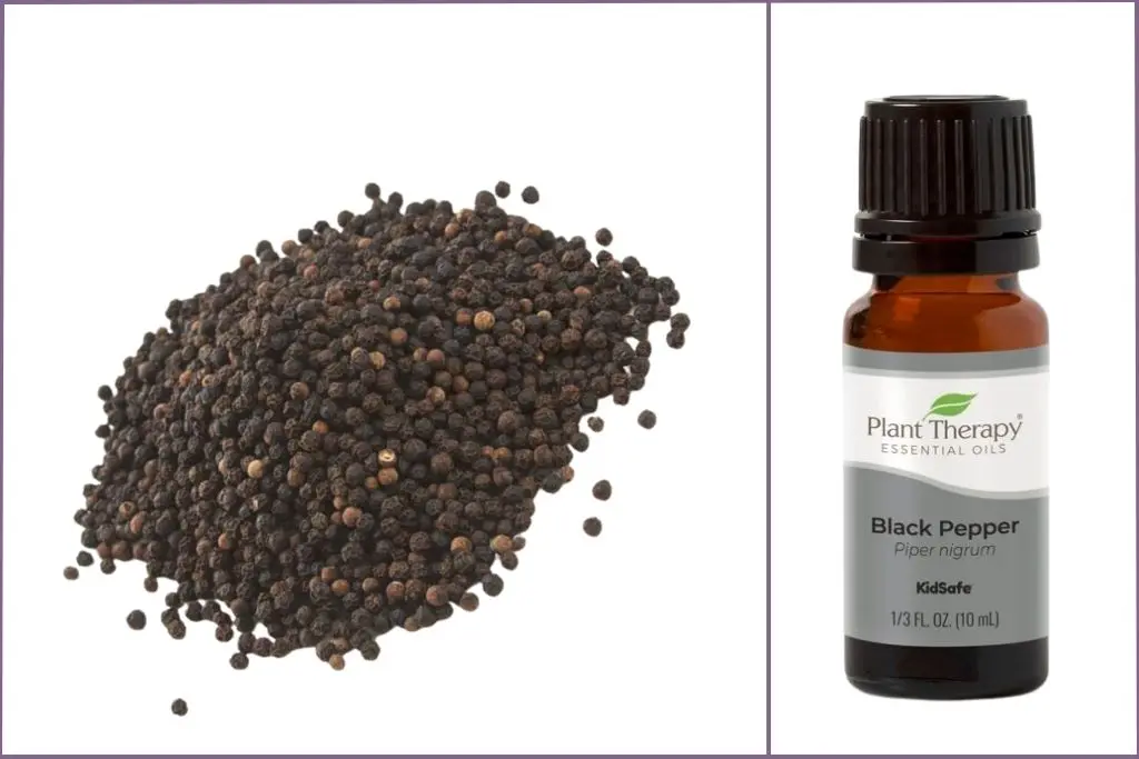 Black Pepper corns + Black Pepper essential oil bottle