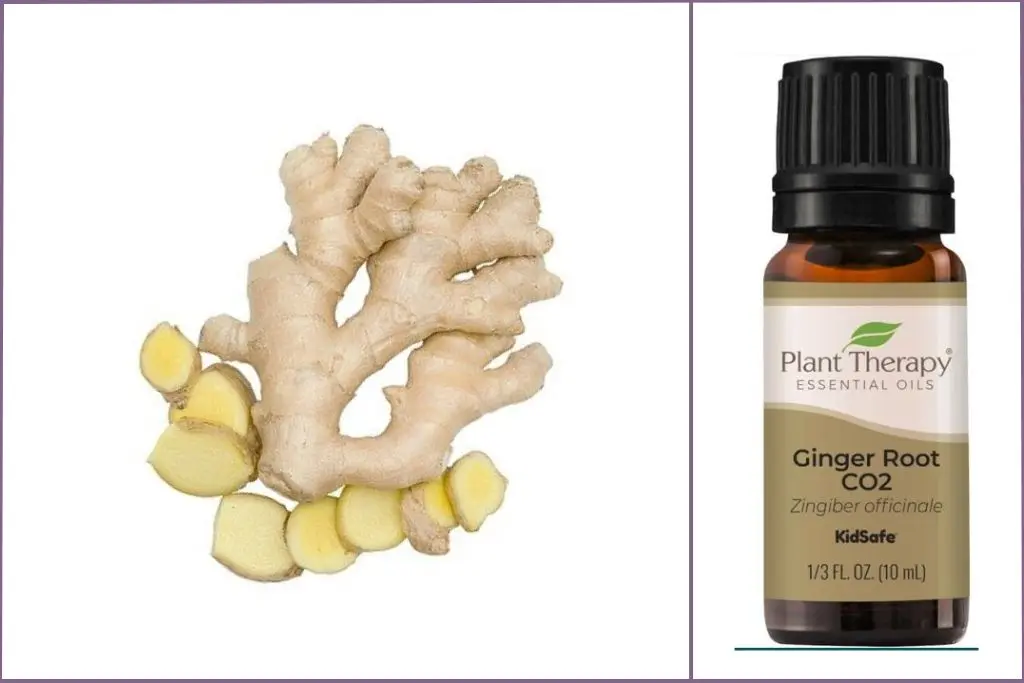 Ginger Root + bottle of Ginger Root CO2 extract