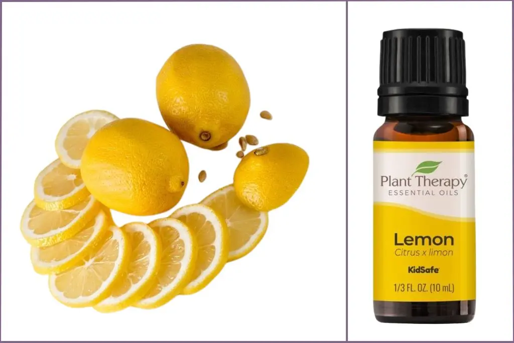 Lemon slices+ Lemon essential oil bottle