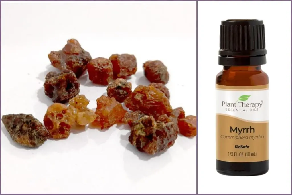 Myrrh resin + Myrrh essential oil bottle