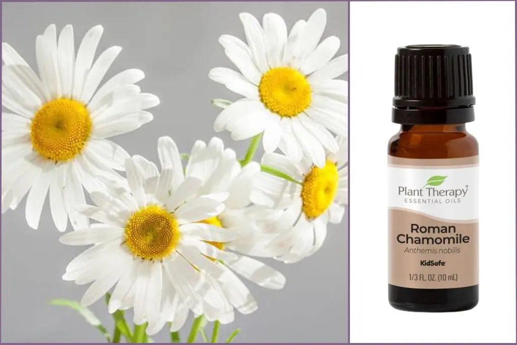 Guide To Floral Essential Oils Uses Blending Tips DIY Ideas Guide To Floral Essential Oils Uses Blending Tips DIY Ideas