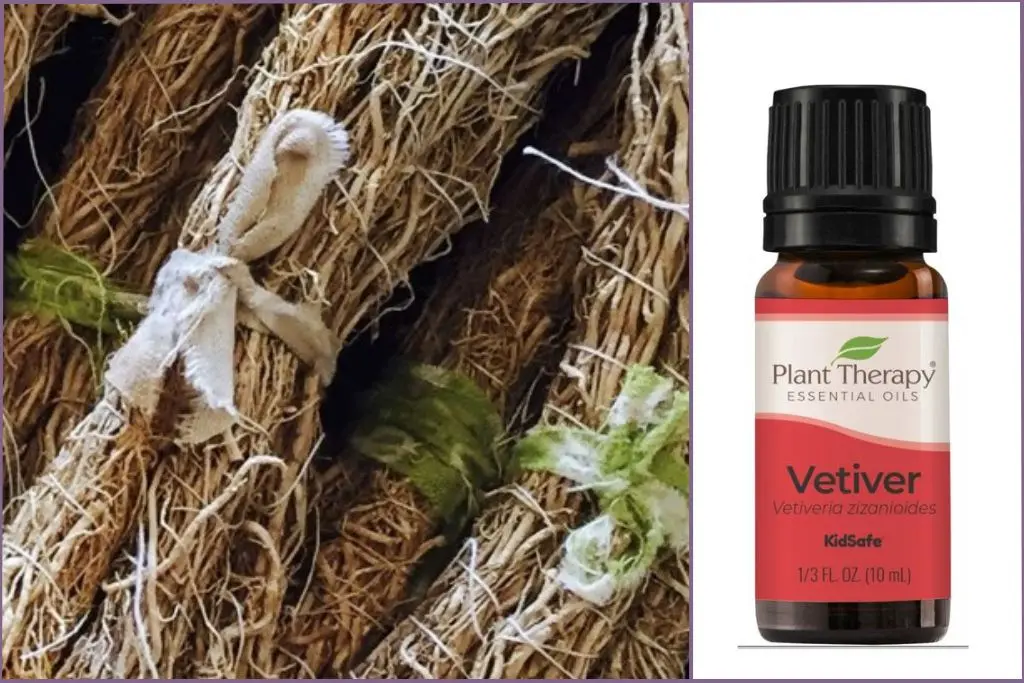 Vetiver roots + Vetiver essential oil bottle