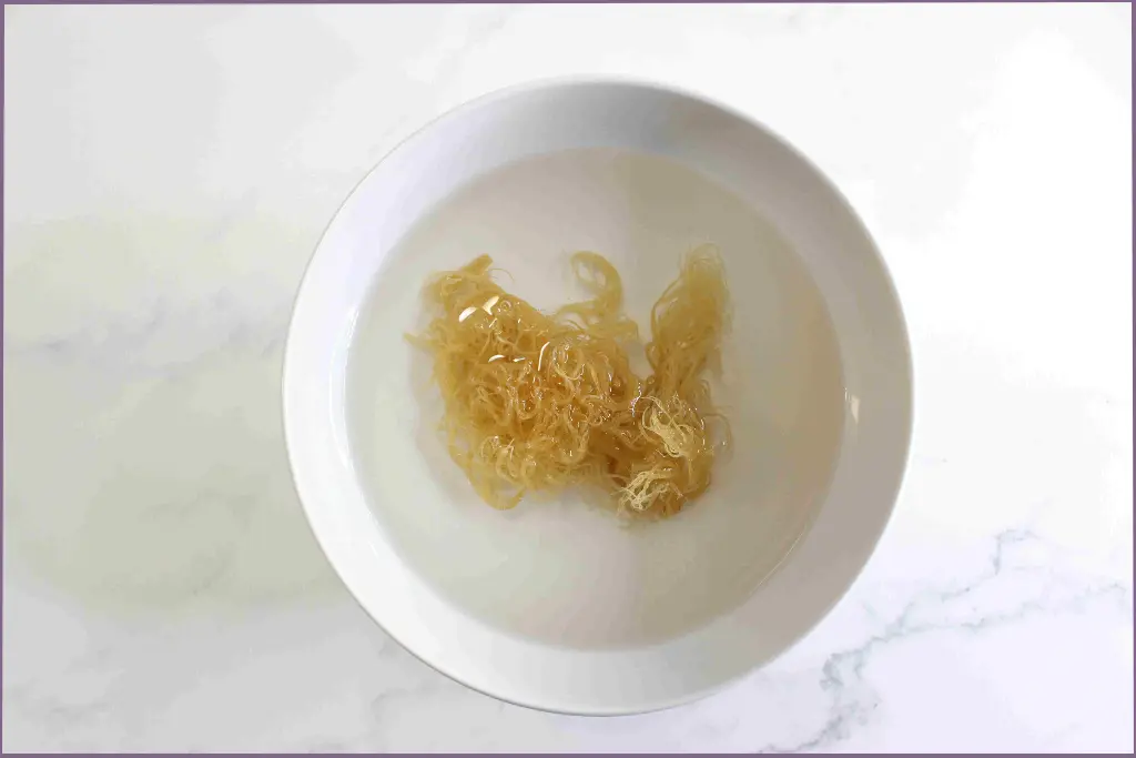 sea moss in white bowl for making sea moss scrub