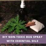 spray bottle with homemade bug repellent