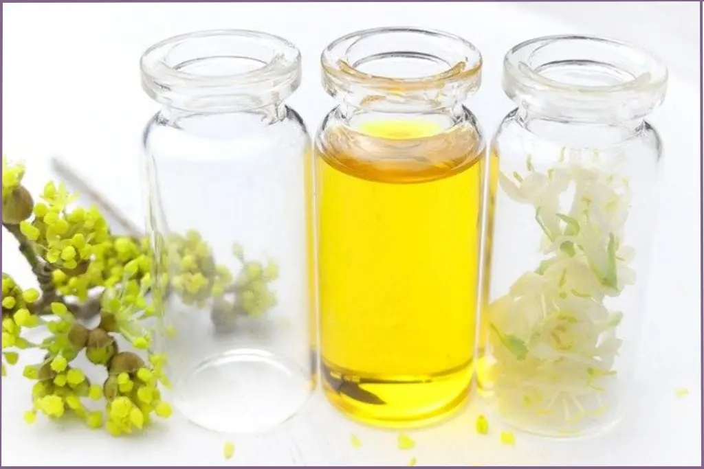 bottle of carrier oil for diluting essential oils