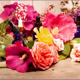 essential oil bottles surrounded by colorful flowers