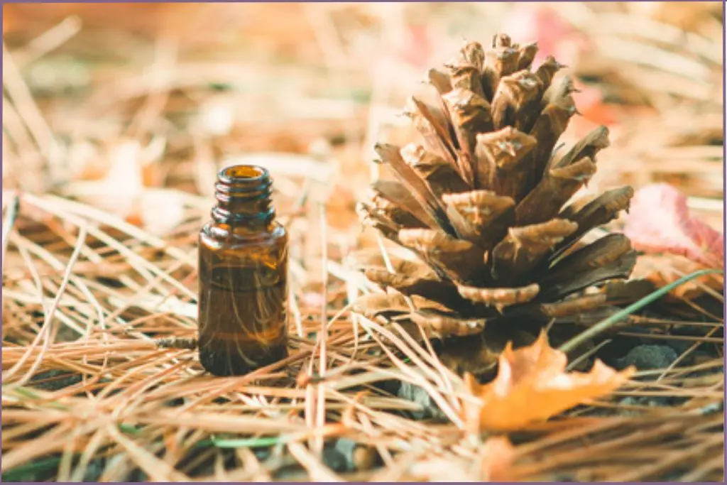 essential oil bottle standing alongside upright pinecone