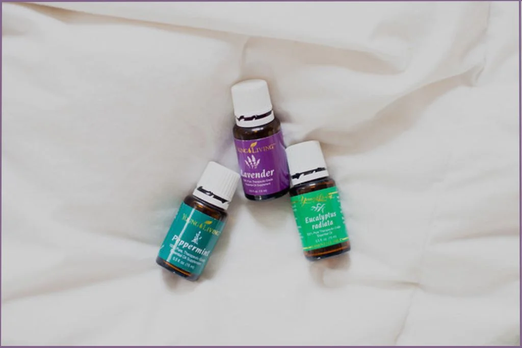 3 essential oil bottles- beginner's guide to what are essential oils