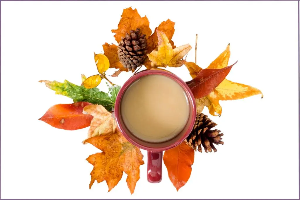 cup of chai surrounded by fall leaves and pine cones