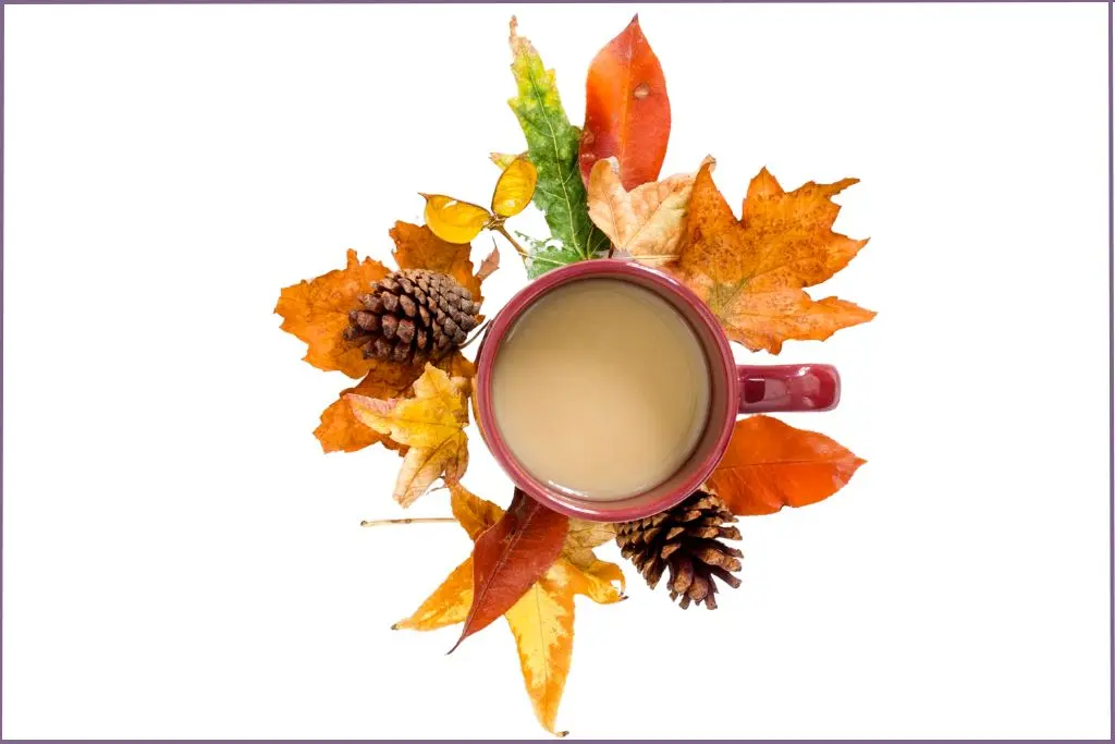 cup of chai surrounded by fall leaves and pine cones