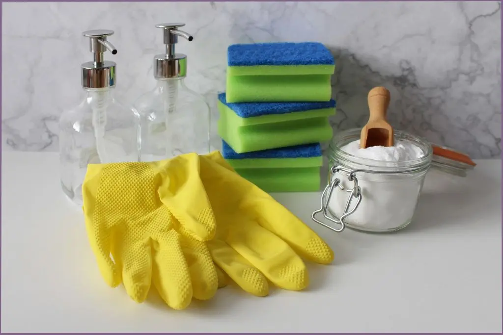 pair of gloves, 2 pump bottles, scouring pads and a glass jar with diatomaceous earth