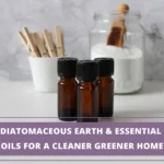 3 essential oil bottles in front of a jar of diatomaceous earth and a mug with clothes clips