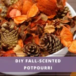 white bowl with pinecones, dried leaves - homemade fall scented potpourri