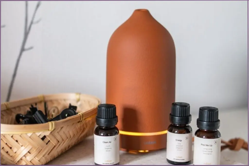 brown diffuser with 3 essential oil bottles - Empower your life with essential oils